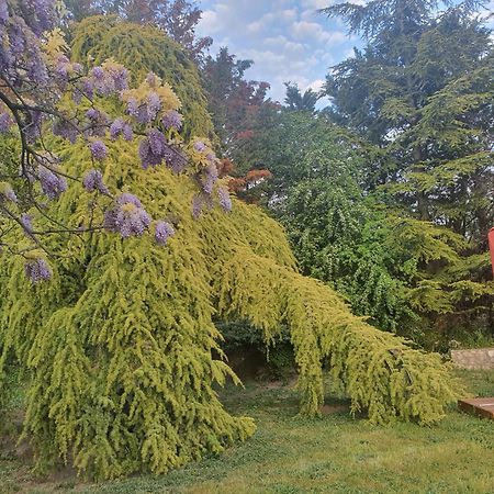 Gite Au Coeur De La Provence & Spa Saint Cannat Bagian luar foto