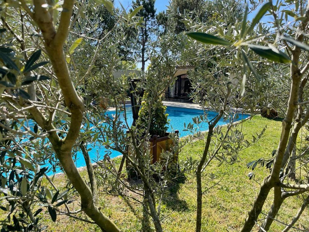 Gite Au Coeur De La Provence & Spa Saint Cannat Bagian luar foto
