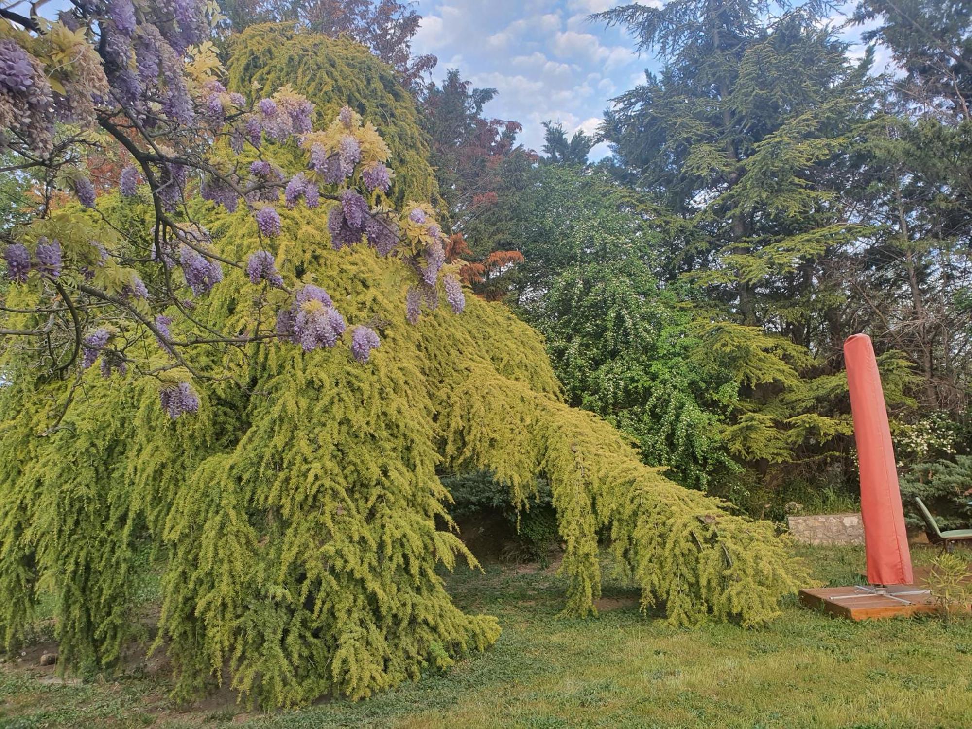 Gite Au Coeur De La Provence & Spa Saint Cannat Bagian luar foto